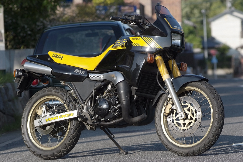 TDR250との馴れ初め